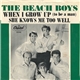 The Beach Boys - When I Grow Up (To Be A Man)